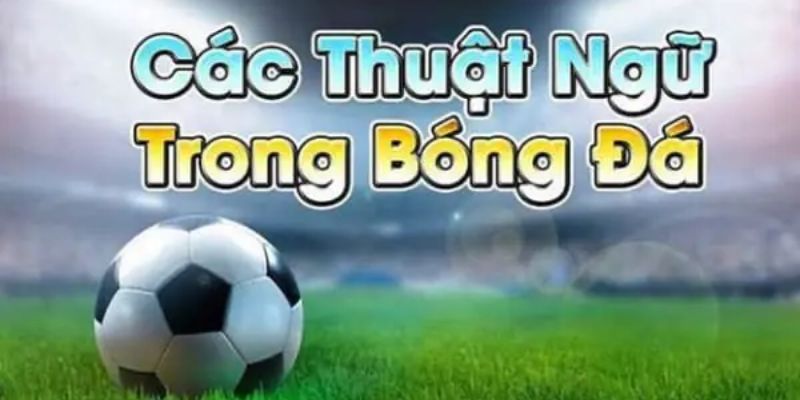 ẢNH ĐẠI DIỆN THUẬT NGỮ BÓNG ĐÁ